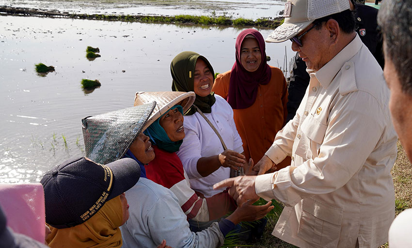 Presiden Prabowo Subianto meninjau tanam dan panen padi di Desa Telaga Sari, Distrik Kurik, Kabupaten Merauke, Provinsi Papua Selatan, Minggu, (3/11). [Astakom/Albrianso W.B/Tim Media Presiden]