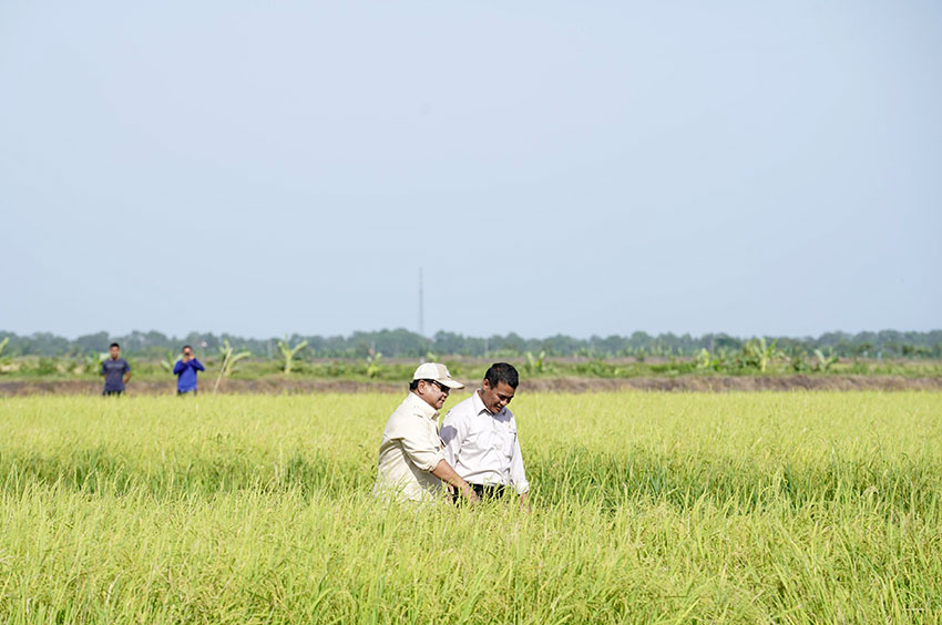 Presiden Prabowo Subianto meninjau tanam dan panen padi di Desa Telaga Sari, Distrik Kurik, Kabupaten Merauke, Provinsi Papua Selatan, Minggu, (3/11). [Astakom/Albrianso W.B/Tim Media Presiden]