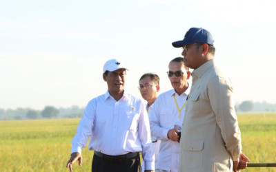 Kementan Capai Swasembada Pangan, Ternyata Ini Rahasianya