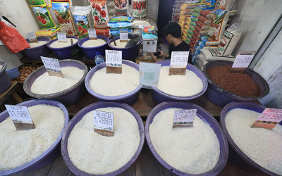 Kementan Targetkan Produksi Beras Nasional Tembus Satu Juta Ton