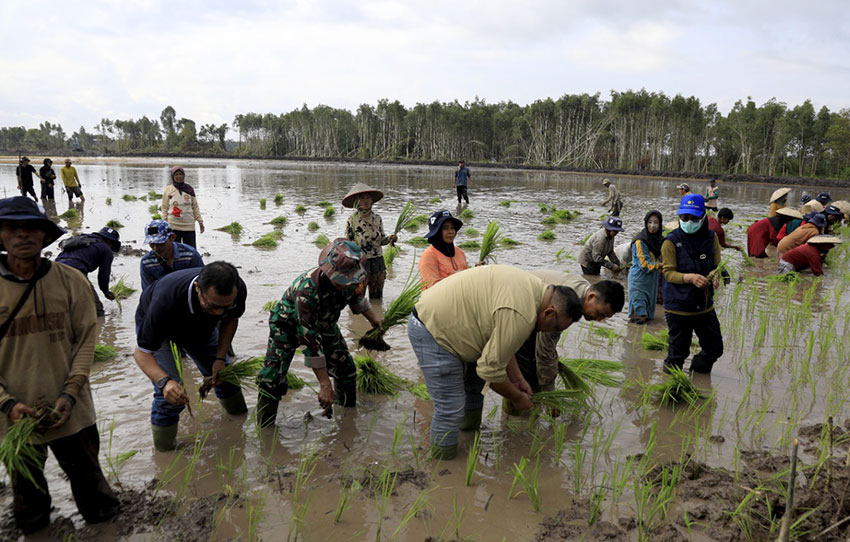 Tanam perdana di Desa Karya Bersama, Kabupaten Kapuas, Kalimantan Tengah, Kamis (24/4). [astakom/Kementan]