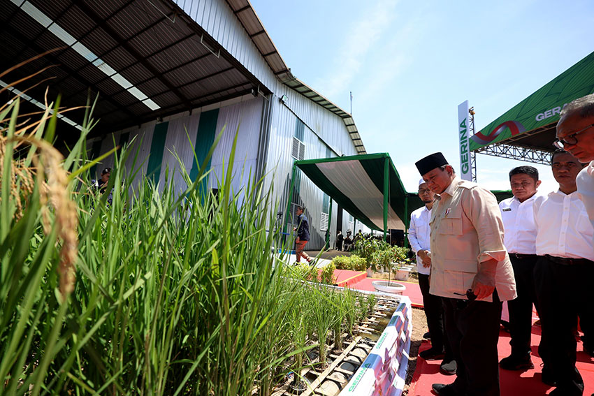 Presiden Prabowo luncurkan Gerina di Kabupaten Banyuasin, Sumatera Selatan, Rabu (23/4). [Tim Media Presiden]