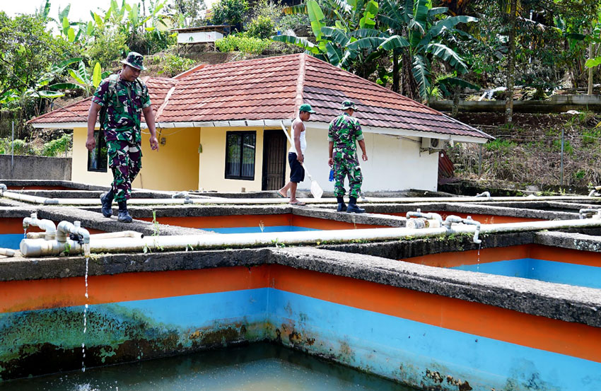 Pelatihan teknik budidaya ikan air tawar dan peternakan domba, di kawasan binaan IPB, Dramaga, Kabupaten Bogor, Jawa Barat, Rabu (23/4). [astakom/Pen TNI AL]