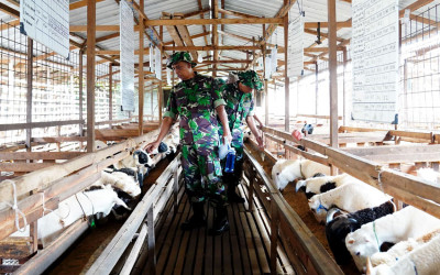 TNI-IPB Perkuat Kemandirian Pangan Berkelanjutan
