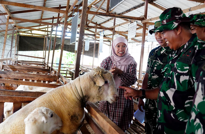 Pelatihan teknik budidaya ikan air tawar dan peternakan domba, di kawasan binaan IPB, Dramaga, Kabupaten Bogor, Jawa Barat, Rabu (23/4). [astakom/Pen TNI AL]