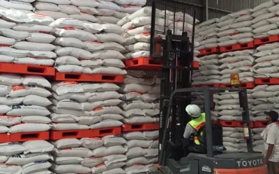 Bulog Hadapi Lonjakan Stok Beras di Gudang, Kualitas Tetap Prioritas
