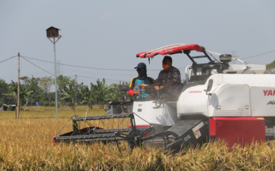Kredit Alsintan Dorong Produktivitas Pertanian, Bantu Tekan Inflasi Pangan