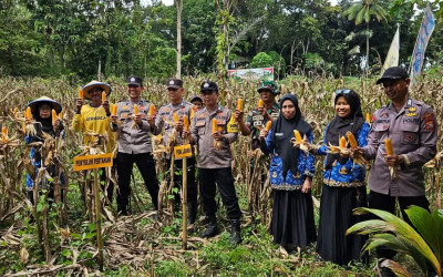 Polisi Buktikan Penggerak dalam Ketahanan Pangan di Barebbo