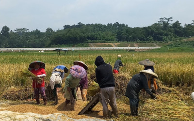 Swasembada Pangan Bukan Sekadar Mimpi, Gen Z Wajib Tahu Nih!