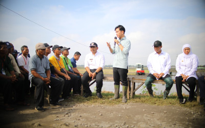 Wapres Gibran dan Mentan Amran Kompak Tanam Padi di Ngawi