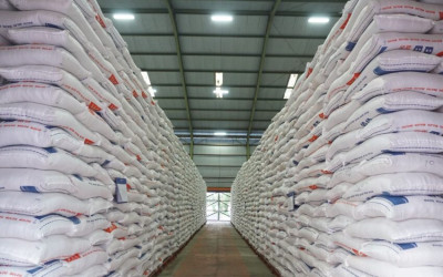 Bulog Pastikan Tak Ada Impor Beras 2025, Fokus Serap Hasil Panen Petani Lokal