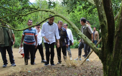 UGM dan USU Turun Tangan, Beri Solusi Hama Lalat Buah di Karo