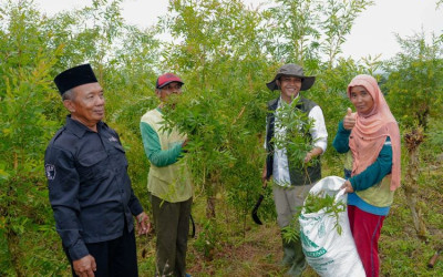 Kunjungi KTH Wono Lestari II Boyolali, Menhut Janji Salurkan Aspirasi Petani