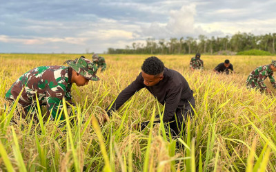 Panen Perdana dari Lahan Cetak Sawah