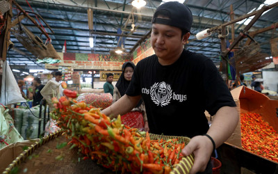 Harga Cabai Sempat Pedas, Pemerintah Siapkan Jurus Jitu Jelang Idul Adha!