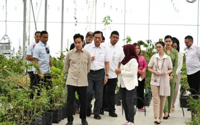 Wapres Gibran: Hilirisasi Komoditas Kemenyan, Kunyit dan Bunga, Luar Biasa!