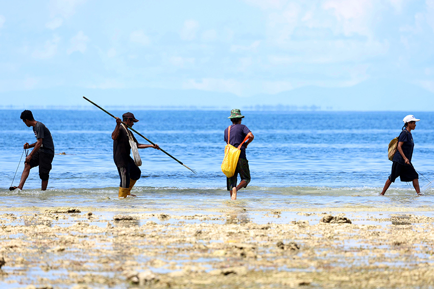 Tradisi tangkap ikan oleh masyarakat Suku Biak, di Papua, Selasa (10/7). [astakom/M Maulana Nugraha Putra]