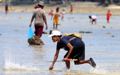 Snap Mor, Tradisi Tangkap Ikan Khas Biak