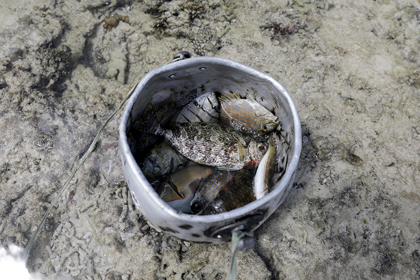 Tradisi tangkap ikan oleh masyarakat Suku Biak, di Papua, Selasa (10/7). [astakom/M Maulana Nugraha Putra]