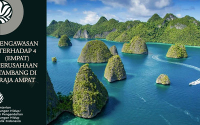 Aktivitas Tambang Ancam Ekosistem Raja Ampat, KLH/BPLH Hentikan Penambangan
