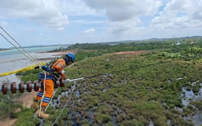 Naik Hampir 18 Persen, PLN Setor Rp65,59 Triliun ke Negara Sepanjang 2024