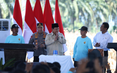 Petani Tersenyum, Presiden Optimis Jagung Indonesia Melesat Hampir 50 Persen