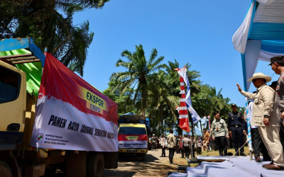 Jagung Menembus Batas Negeri, Presiden Lepas Ekspor 1.200 Ton ke Malaysia