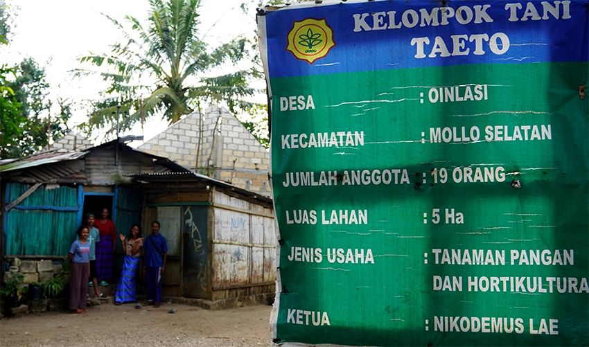 Kelompok Tani Taetoh, di Desa Oenlasi, Nusa Tenggara Timur, Selasa (22/7).[astakom/str-Axel Olivier]