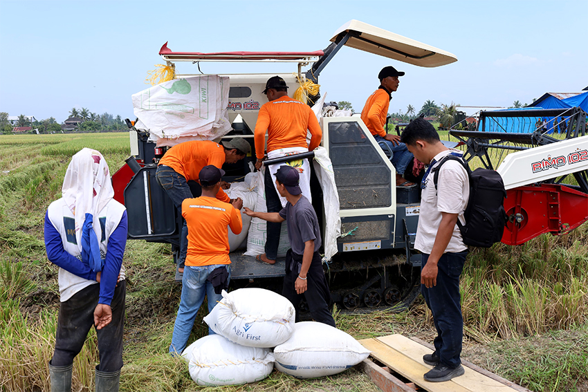 Panen Raya Padi di lahan Kodam I/Bukit Barisan, di Desa Sidoarjo Ramunia, Deli Serdang, Sumatera Utara, Kamis (10/7). [astakom/Pen TNI]