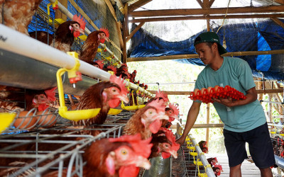 Kelompok Tani Taetoh Kurangi Angka Stunting