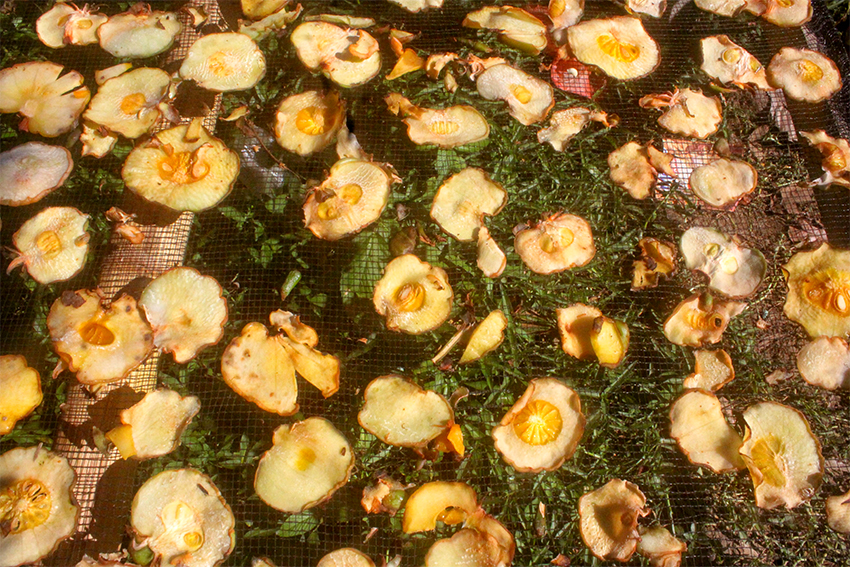 Petani Asam Glugur, di Kabupaten Deli Serdang, Sumatera Utara, Senin (21/7). [astakom/str-Iwan Gunadi]