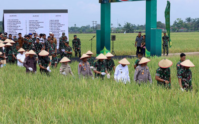 Kontribusi Aktif TNI Dukung Swasembada Pangan