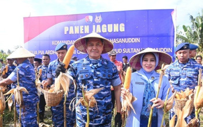 Dukung Ketahanan Pangan, Danlanud Sultan Hasanuddin Pimpin Panen Jagung Hibrida
