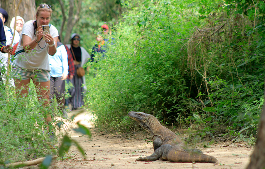 Sejumlah wisatawan berkunjung ke Pulau Komodo, di Taman Nasional Komodo, Manggarai Barat, NTT beberapa waktu lalu. [astakom/str-Axel Oliver]