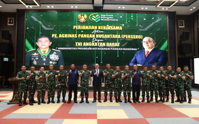 TNI AD Gandeng Agrinas Wujudkan Ketahanan Pangan Nasional