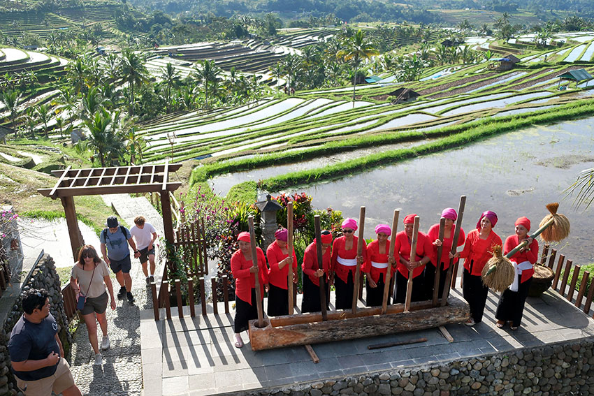 Jatiluwih Festival 2025, di Tabanan, Bali, Sabtu (19/7). [astakom/str-Putu Yuka]