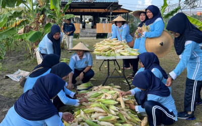 Lanud RSA Natuna Panen Jagung Pulut, Wujudkan Ketahanan Pangan Nasional