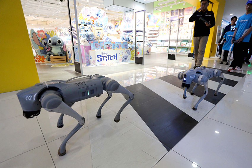 Robot Humanoid dan Robot Dog K-9 saat acara Meet and Greet Robotic di D’Botanica Mall, Bandung, Sabtu (5/7). [astakom/str-Budi Yanto]