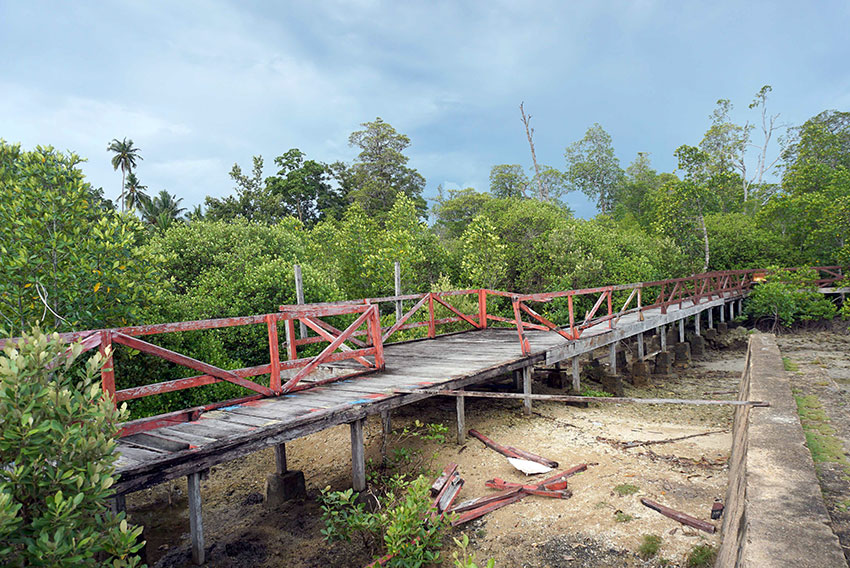 Lokasi Wisata Mangrove, di Kampung Yeflio, Sorong, Papua Barat Daya, Minggu (13/7). [astakom/str-Mumtazah]