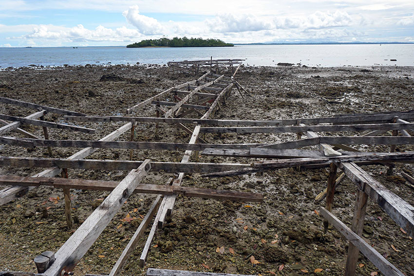 Lokasi Wisata Mangrove, di Kampung Yeflio, Sorong, Papua Barat Daya, Minggu (13/7). [astakom/str-Mumtazah]