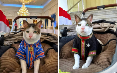 OOTD Bobby Kertanegara Warnai HUT ke-80 RI di Istana Merdeka