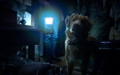 Good Boy: Horor Supranatural dari Sudut Pandang Anjing, Tayang 3 Oktober 2025