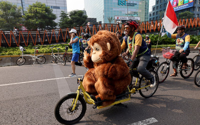 Peringatan Hari Orangutan Sedunia 2025