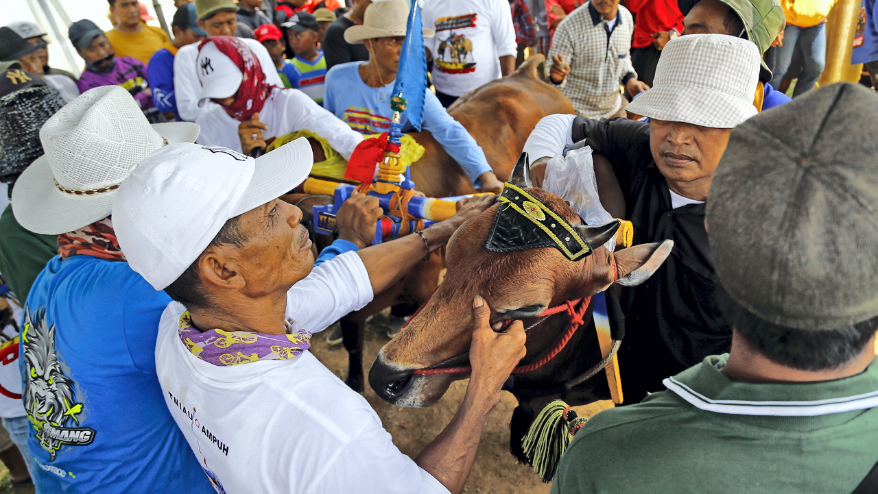 [astakom/str-Dipta Pratama]