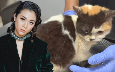 Drama Penjarahan Kucing Uya Kuya Semakin Memanas, Sherina Munaf Spill Kesaksian