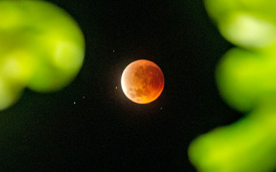 Fenomena Gerhana Bulan Total di Yogyakarta