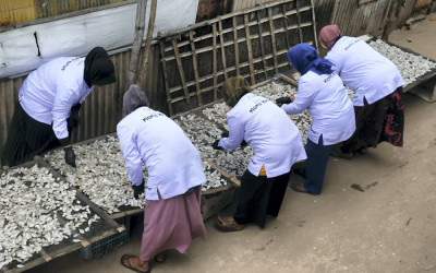 Realisasi KUR Sektor Produksi Tembus 60,5 Persen