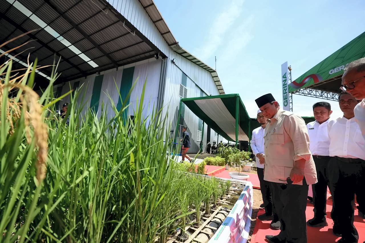 Presiden Prabowo Subianto pada acara peluncuran Gerakan Indonesia Menanam (Gerina) di Banyuasin, Sumatera Selatan, Rabu, 23 April 2025. [Tim Media Presiden]