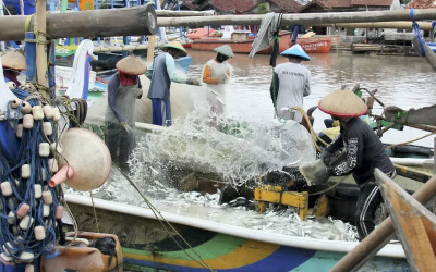 Presiden Prabowo: Fasilitas Cold Storage dan Dermaga Dorong Pendapatan Nelayan Melonjak
