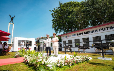 Perkuat Ketahanan Pangan, Bappenas Gandeng Akademis dan Swasta Kembangkan Sapi Merah Putih